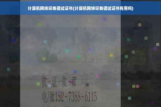 计算机网络设备调试证书(计算机网络设备调试证书有用吗)