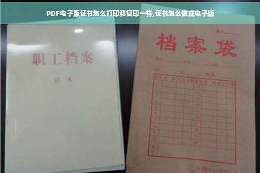 PDF电子版证书怎么打印和复印一样,证书怎么做成电子版 PDF电子版证书怎么打印和复印一样,证书怎么做成电子版