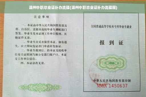 温州中职毕业证补办流程(温州中职毕业证补办流程图)