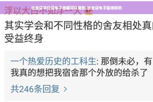 毕业证学位证电子档哪可以查到,毕业证电子版啥样的
