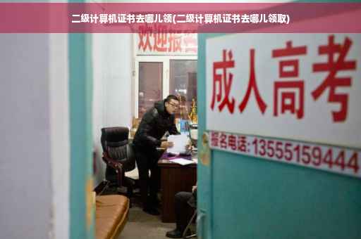二级计算机证书去哪儿领(二级计算机证书去哪儿领取)