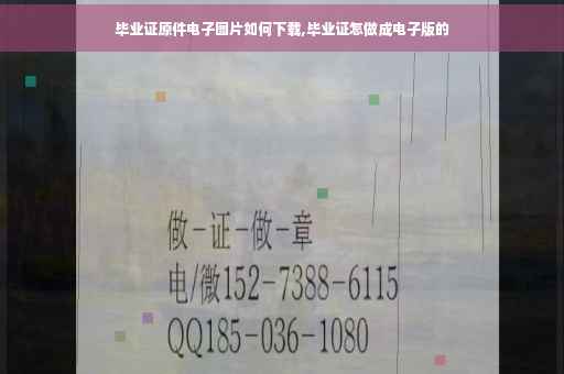 毕业证原件电子图片如何下载,毕业证怎做成电子版的