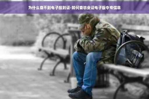 为什么查不到电子报到证-如何查毕业证电子版中专信息