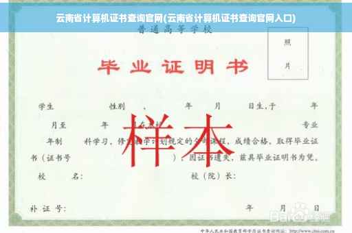 云南省计算机证书查询官网(云南省计算机证书查询官网入口)