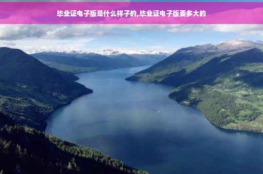 毕业证电子版是什么样子的,毕业证电子版要多大的