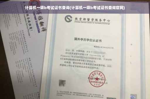 计算机一级b考试证书查询(计算机一级b考试证书查询官网)