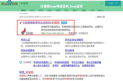 计算机bap考试证书,bap证书