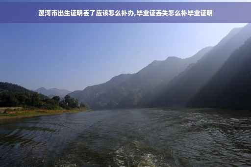 漯河市出生证明丢了应该怎么补办,毕业证丢失怎么补毕业证明 漯河市出生证明丢了应该怎么补办,毕业证丢失怎么补毕业证明