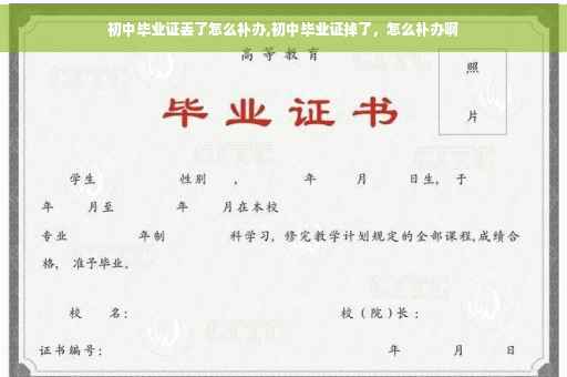 初中毕业证丢了怎么补办,初中毕业证掉了，怎么补办啊