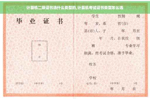 计算机二级证书选什么类型的,计算机考试证书类型怎么选