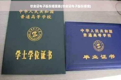 毕业证电子版在哪里差(毕业证电子版在哪查)