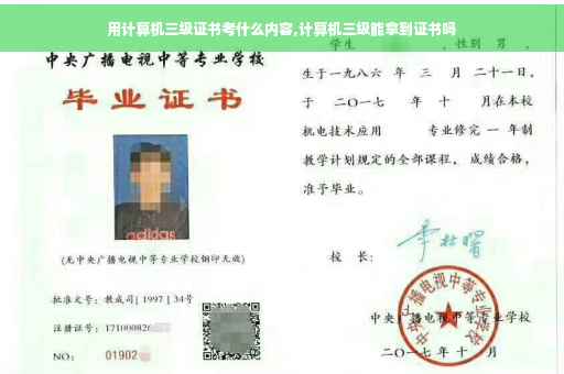 用计算机三级证书考什么内容,计算机三级能拿到证书吗