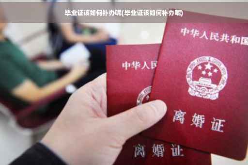毕业证该如何补办呢(毕业证该如何补办呢)