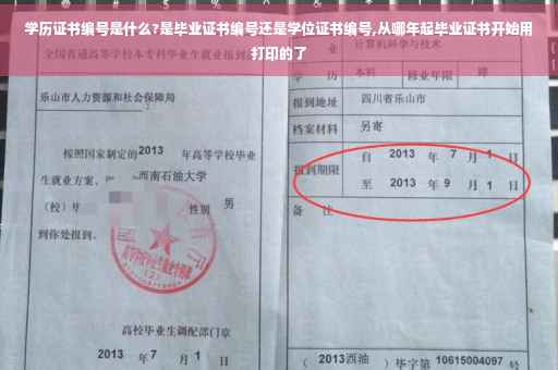 学历证书编号是什么?是毕业证书编号还是学位证书编号,从哪年起毕业证书开始用打印的了