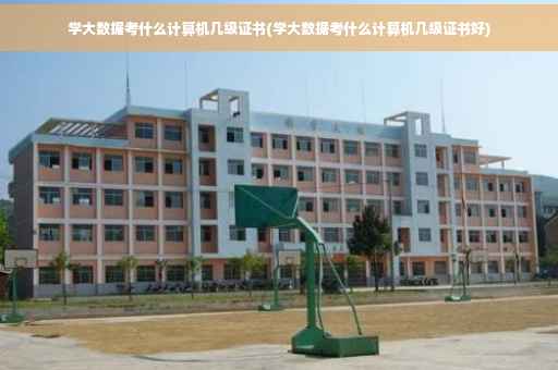 学大数据考什么计算机几级证书(学大数据考什么计算机几级证书好)