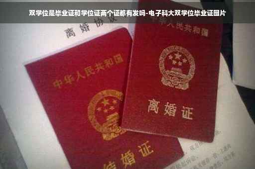 双学位是毕业证和学位证两个证都有发吗-电子科大双学位毕业证图片