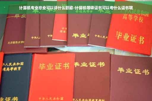 计算机专业毕业可以评什么职称-计算机等级证书可以考什么证书呢