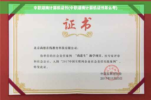 中职湖南计算机证书(中职湖南计算机证书怎么考)