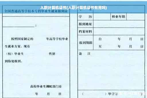 入职计算机证书(入职计算机证书有用吗) 入职计算机证书(入职计算机证书有用吗)