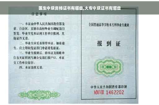 医生中级资格证书有哪些,大专中级证书有哪些