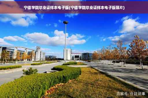 宁德学院毕业证样本电子版(宁德学院毕业证样本电子版图片)