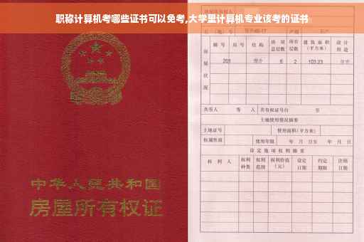 职称计算机考哪些证书可以免考,大学里计算机专业该考的证书