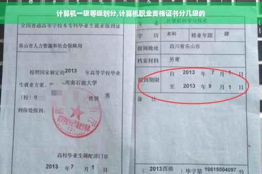 计算机一级等级划分,计算机职业资格证书分几级的
