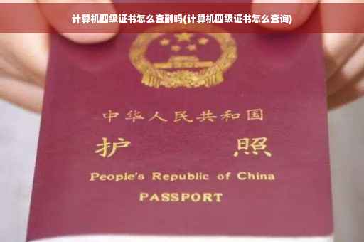 计算机四级证书怎么查到吗(计算机四级证书怎么查询)