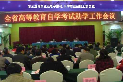 怎么查询毕业证电子编号,大学毕业证网上怎么查