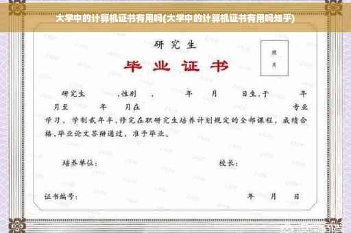 大学中的计算机证书有用吗(大学中的计算机证书有用吗知乎)