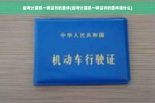 报考计算机一级证书的条件(报考计算机一级证书的条件是什么) 报考计算机一级证书的条件(报考计算机一级证书的条件是什么)