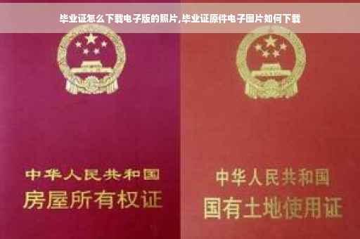 毕业证怎么下载电子版的照片,毕业证原件电子图片如何下载