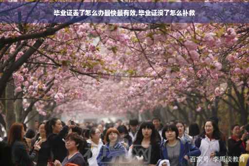 毕业证丢了怎么办最快最有效,毕业证没了怎么补救