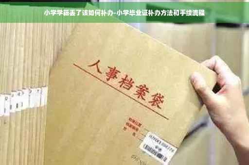 小学学籍丢了该如何补办-小学毕业证补办方法和手续流程