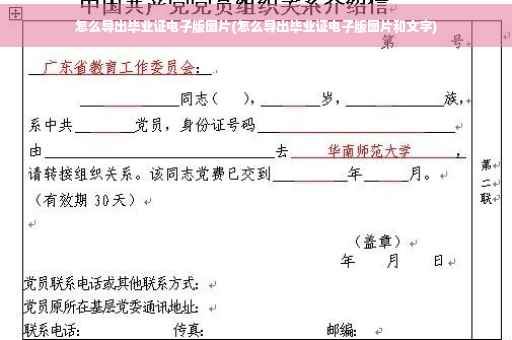怎么导出毕业证电子版图片(怎么导出毕业证电子版图片和文字)