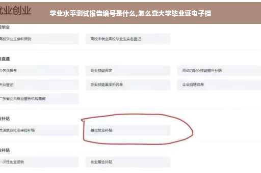 学业水平测试报告编号是什么,怎么查大学毕业证电子档