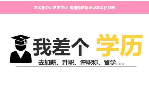 怎么补办小学学生证-南阳师范毕业证怎么补办的