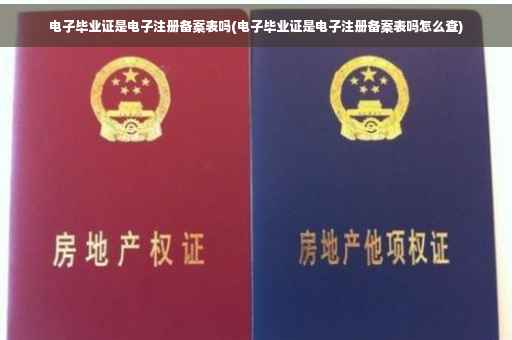 电子毕业证是电子注册备案表吗(电子毕业证是电子注册备案表吗怎么查)