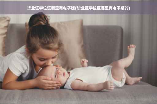 毕业证学位证哪里有电子版(毕业证学位证哪里有电子版的)