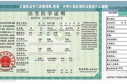 计算机证书几级够用啊,我第一次考计算机等级证要报什么等级