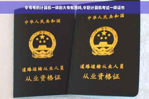 中专考的计算机一级到大专有用吗,中职计算机考试一级证书