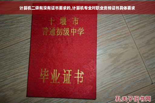 计算机二级有没有证书要求的,计算机专业对职业资格证书具体要求