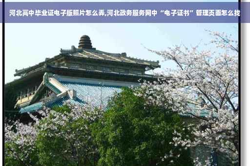 河北高中毕业证电子版照片怎么弄,河北政务服务网中“电子证书”管理页面怎么找