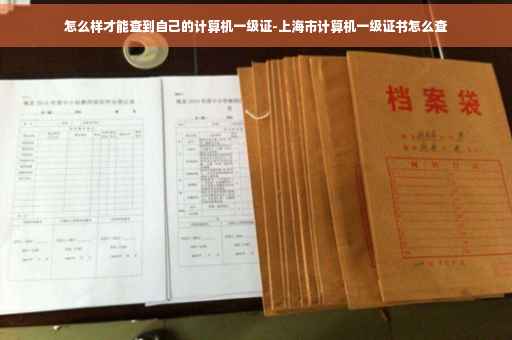 怎么样才能查到自己的计算机一级证-上海市计算机一级证书怎么查