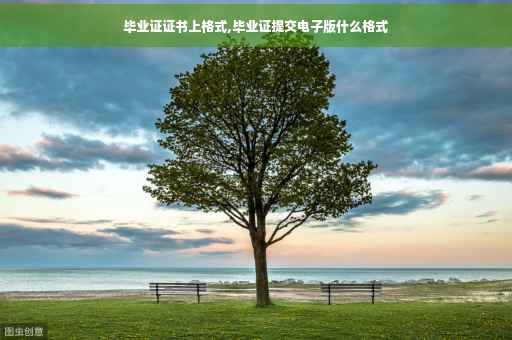 毕业证证书上格式,毕业证提交电子版什么格式