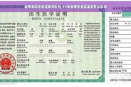 自考本科毕业证如何补办,99年自考毕业证丢失怎么补办