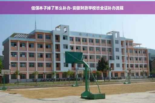 低保本子掉了怎么补办-安徽财政学校毕业证补办流程