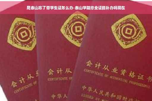 爬泰山忘了带学生证怎么办-泰山学院毕业证能补办吗现在