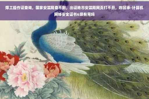 焊工操作证查询，国家安监局查不到，出证地市安监局网页打不开，咋回事-计算机网络安全证书6级有用吗