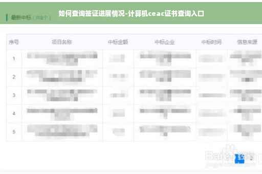 如何查询签证进展情况-计算机ceac证书查询入口